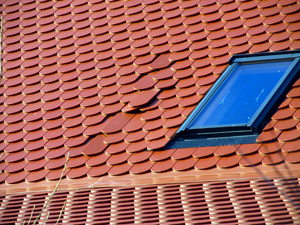 Damaged Skylight & Roof Leak Repair in Greater Roanoke