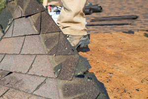 Roofing Dry Rot Repair in [city], Roanoke